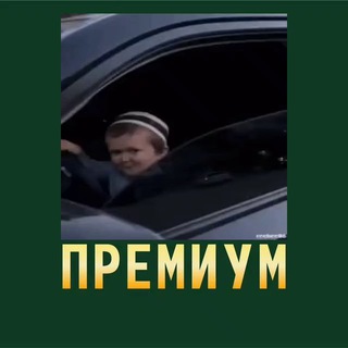 Ласковый попутчик