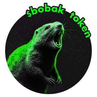$BOBAK chat