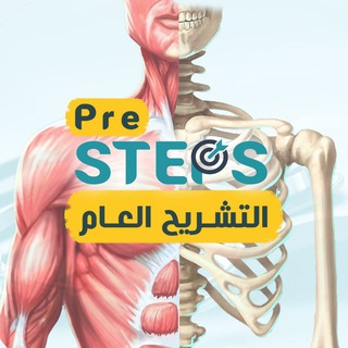 STEPS Anatomy