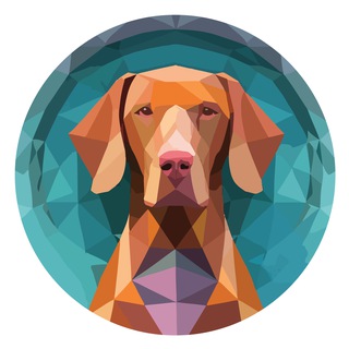 Hungarian Vizsla Inu (HVI)中国集团 🇨🇳