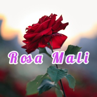 🌹⃝✥⃟☺️᭄ꦿ🇷 🇴 🇸 🇦꧁⃝⃟꧂🇲 🇦 🇱 🇮 🌹⃝❤️࿔⃟࿔🍃⃟⃝🌼᭄ ᭄ ᭄ ࿔