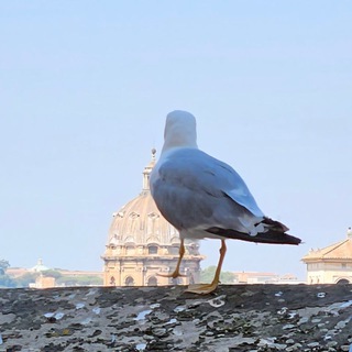 Who's there?