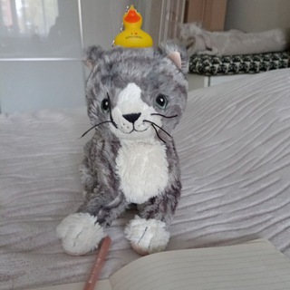 Кафе котиков😺