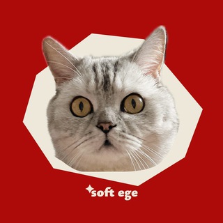 Тренажёры для ЕГЭ по русскому от soft ege