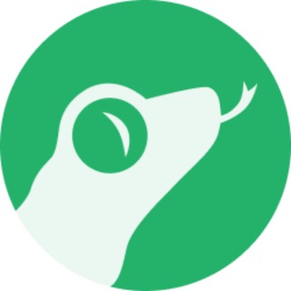 🇩🇪Gamblizard Sportwetten
