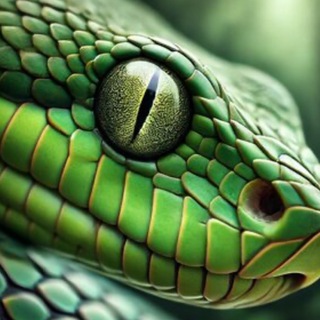 Snake Eyes Scanner