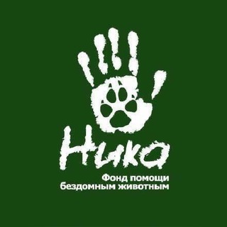 Помощник БФ "Ника"
