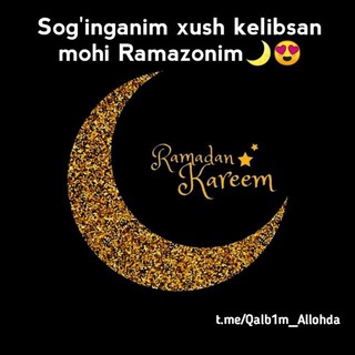 Musilmanin