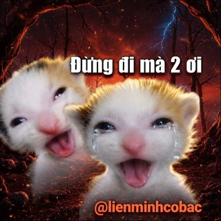 [ M.GAME ] LIÊN MINH CỜ BẠC