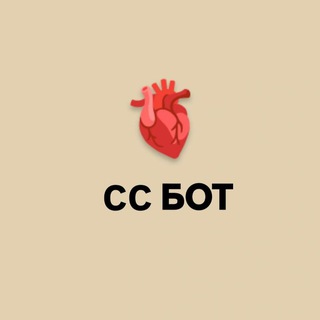 CardioCamp бот