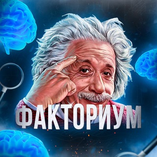 Факториум 🧠
