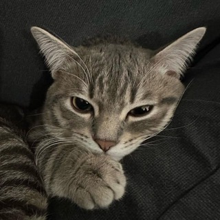 ㅤ