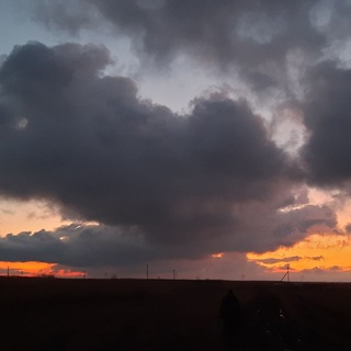 В. Ульянов