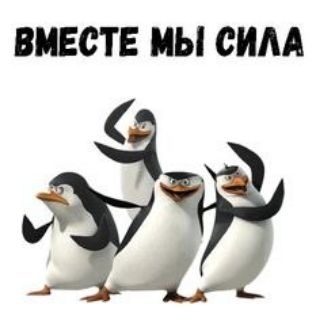 Вместе мы сила
