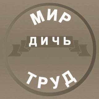 Обратная связь Дичи