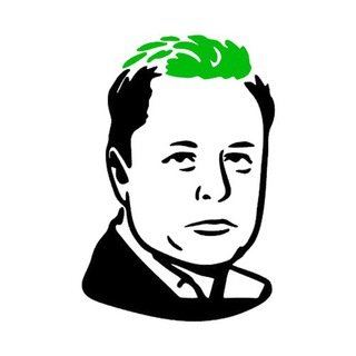 Elawn Musk Token