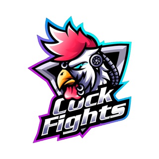Cock Fights Eggs Sale