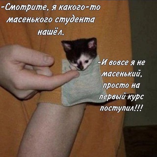 暗い (:) Пансер 🐾