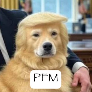 PF memes