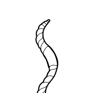Worm_archive