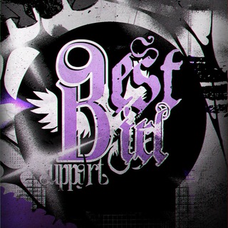 ⇄ BEST IRL : Support