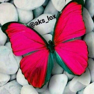 💗عکس،گیف،موزیک،بیو💗