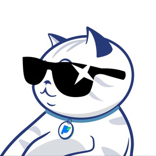 InfoKot_bot