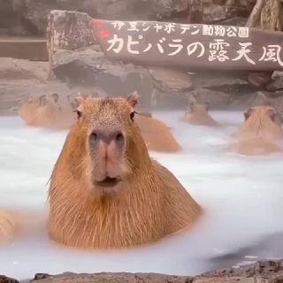 Xrymba