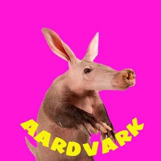 Aardvark $VARK | Tax 0/0