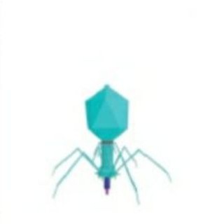 Biologiya quiz test