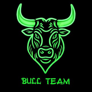 BULL TEAM GROUP VPN