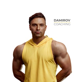 Damirov Info
