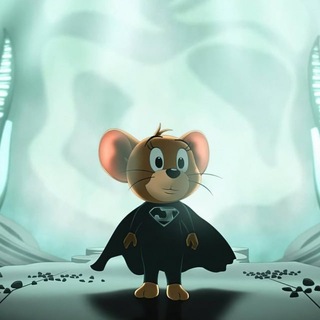 제리 공지채널🐹