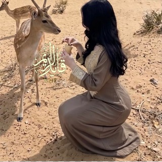 ‏"قايد ‏"الريم 𐂂