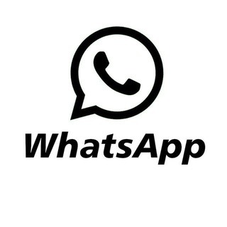 WhatsApp群发