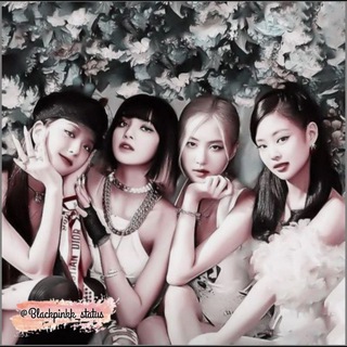 🍷༻ Black Pink Status Admins ༺🍷