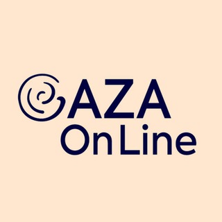 Gaza on line