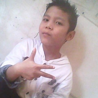 MANFES EMBRIO