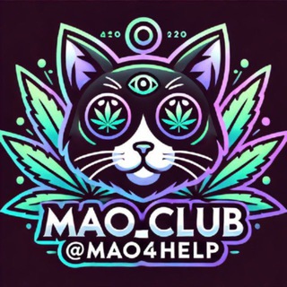 貓的候機室 (需驗證)