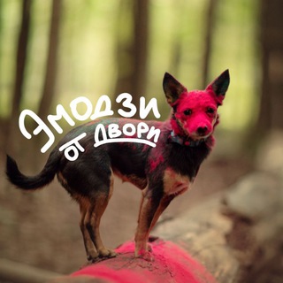 Эмодзи от Двори🐾