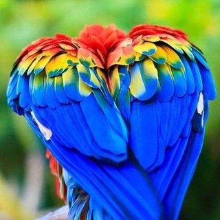 Cría de aves exóticas