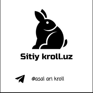 Sitiy kroll.uz
