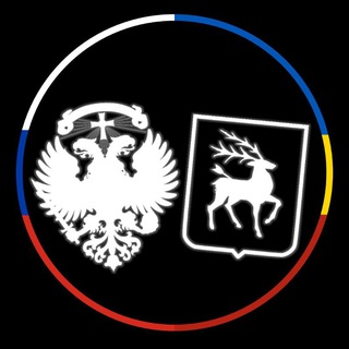 Чат MrKartograf 🤑