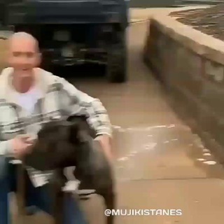 🐕UZB🐕ITLAR🐕BOZORI🐕