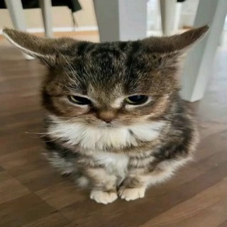 𝗰𝗮𝘂𝗻𝗽
