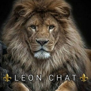 LEON CHAT⚜