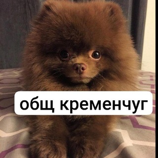 общение кременчуг🩷✌️🏿