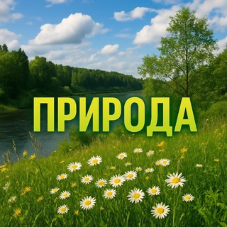 Прир🌼да