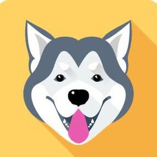 Alaska Inu 🐶 Arab Community