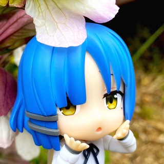 Bocchi ПРЕДЛОЖКА